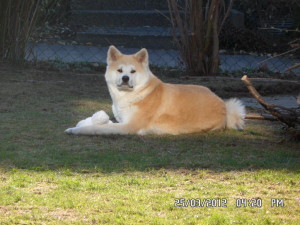 SAM_0089