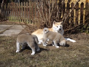 mit Mama im Garten