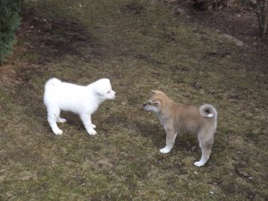 Sollen wir abhauen?