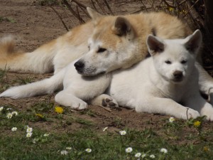 Kuscheln mit Mama