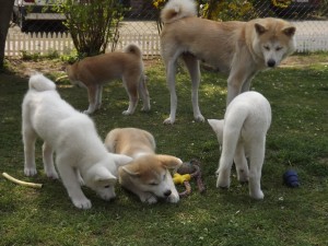 Gruppenbild